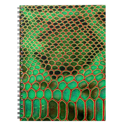 Carnet Arrière - plan de peau de serpent (Devant)
