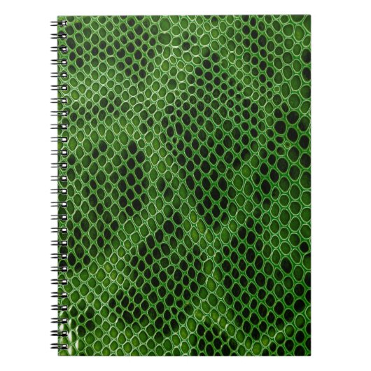 Carnet Arrière - plan de peau de serpent exotique (Devant)