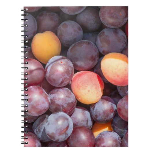 Carnet Arrière - plan de prune cerise (Devant)