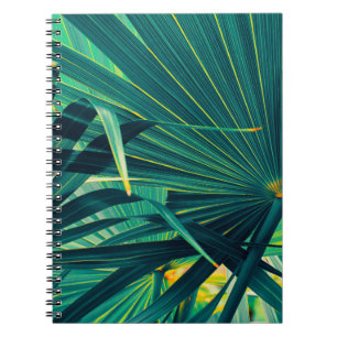 Carnet Arrière - plan de texture de feuille de palme trop
