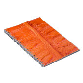 Carnet Arrière - plan de texture de peau du ventre crocod (Côté Droit)