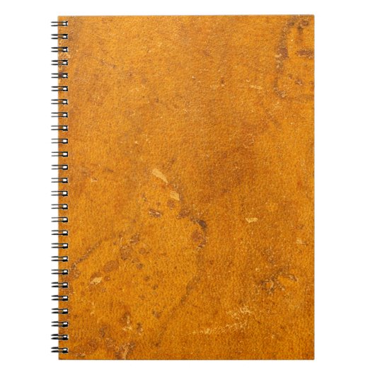 Carnet Arrière - plan en cuir antique de parchemin de (Devant)