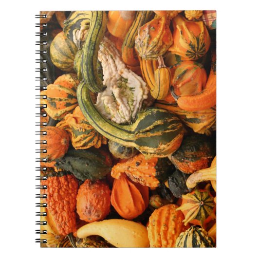 Carnet Arrière - plan Gourd Automne (Devant)