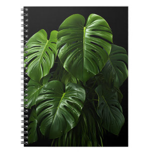 Carnet Arrière - plan noir Monstera Deliciosa Feuilles