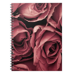Carnet Arrière - plan Rose Vintage romantique