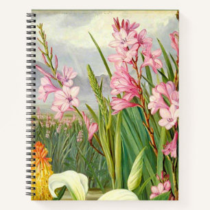 Carnet Art botanique : Beautés du marais