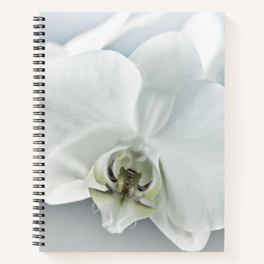 Carnet Art botanique de l'orchidée blanche élégante (Devant)