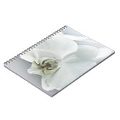 Carnet Art botanique de l'orchidée blanche élégante (Côté gauche)
