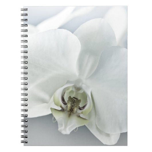 Carnet Art botanique de l'orchidée blanche élégante (Devant)
