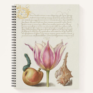 Carnet Art de calligraphie de la Renaissance Fleur de tul