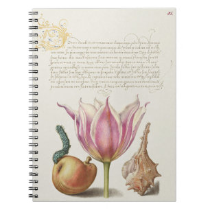 Carnet Art de calligraphie de la Renaissance Tulipe rose