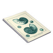 Carnet Art de coquillage rouge et vert (Côté Droit)