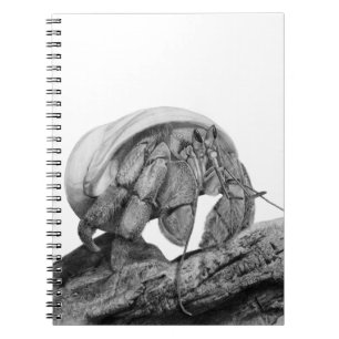 Carnet Art de Crabe Pagure Équatorien