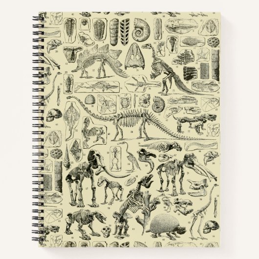 Carnet Art de fossiles d'os de dinosaures vintage (Devant)