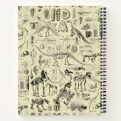 Carnet Art de fossiles d'os de dinosaures vintage (Dos)