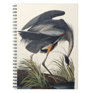 Carnet Art de la nature de l'aigrette bleue d'Audubon vin