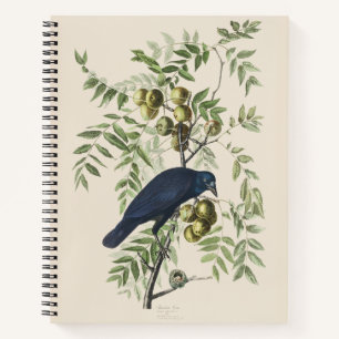 Carnet Art de la nature de l'oiseau Corbeau américain Aud