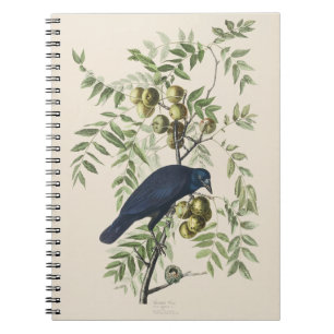 Carnet Art de la nature de l'oiseau Corbeau américain d'A