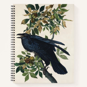 Carnet Art de la nature de l'oiseau corbeau vintage Audub