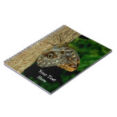 Carnet Art de la nature papillon Brown (Côté gauche)