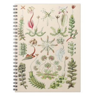 Carnet Art de la nature scientifique Ernst Haeckel Hépati
