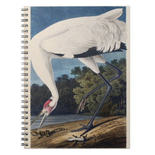 Carnet Art de la nature sur l'oiseau Grue de Whooping Aud