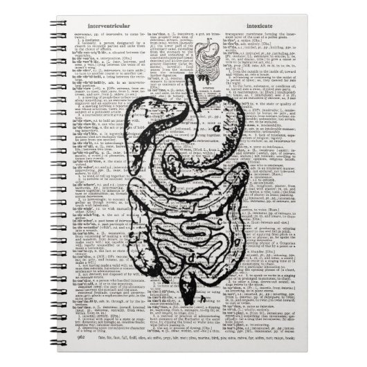 Carnet Art du dictionnaire d'illustrations Médicale (Devant)