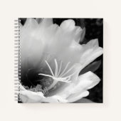 Carnet Art original : "Cereus fleur de nuit" (Devant)