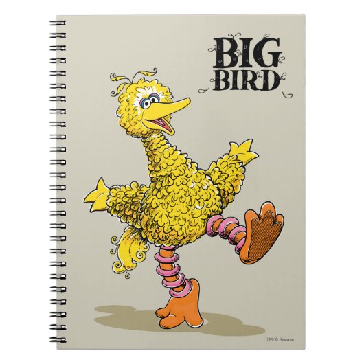 Carnet Art Rétro Gros Oiseau (Devant)