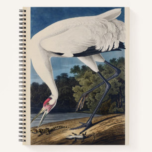 Carnet Art vintage d'Audubon sur la grue criarde et la na