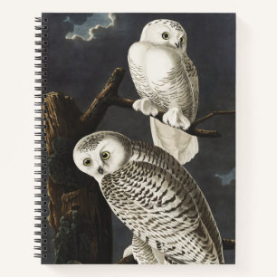Carnet Art vintage d'oiseau de nuit Chouette effraie d'Au