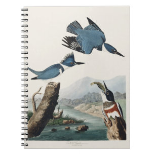 Carnet Art vintage du martin-pêcheur à ceinture d'Audubon