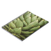 Carnet Artichaut, 1613 (Côté gauche)