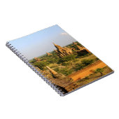Carnet Asie, Myanmar (Birmanie), Bagan (païen). Varié (Côté Droit)