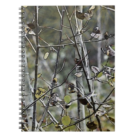 Carnet Aspen (Devant)