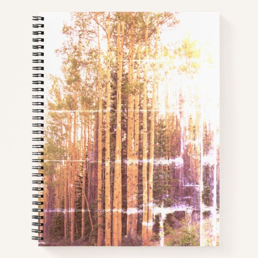Carnet Aspen Grove (Devant)