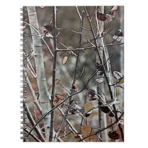 Carnet Aspens en automne