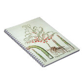 Carnet Asperge commune en fleur et fruit, de 'Ho (Côté Droit)