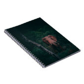 CARNET ASSEZ ÉLÉPHANT (Côté Droit)