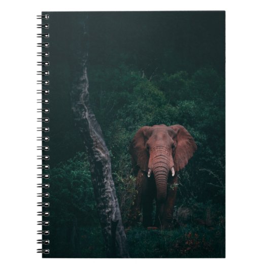 CARNET ASSEZ ÉLÉPHANT (Devant)