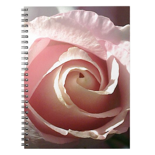 Carnet Assez rose de rose (Devant)