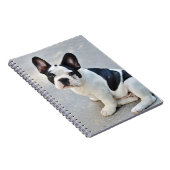 Carnet assise (Côté Droit)