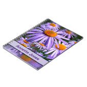 Carnet Aster tongolensis 'Berggarten' (Côté gauche)