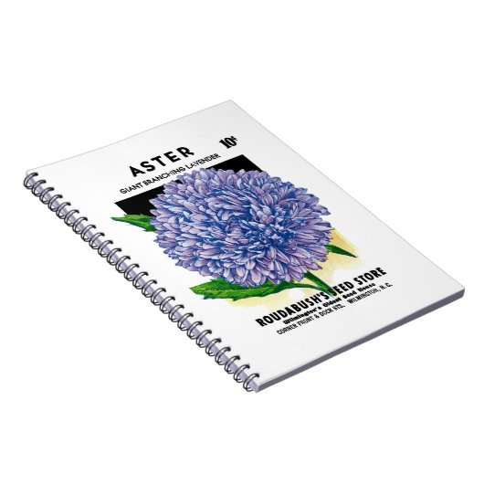 Carnet Aster Vintage Seed Packet (Côté Droit)
