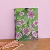 Carnet Astrantia rose fleurit