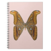 Carnet Atlas Moth (Devant)
