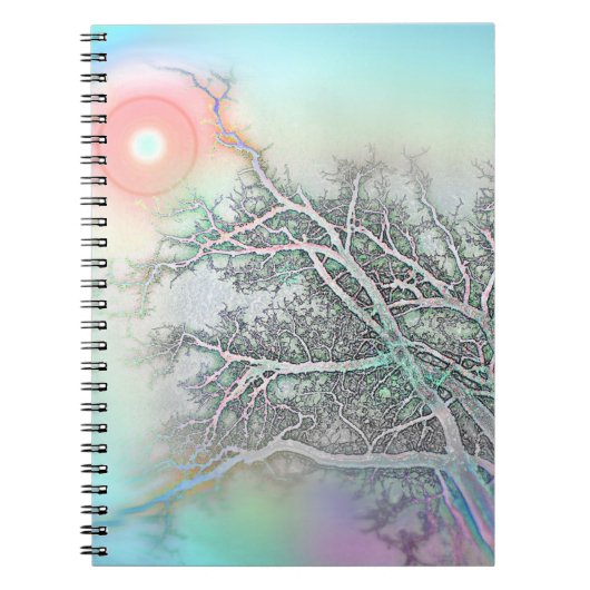 Carnet Atteignez ! (Soleil d'hiver) (Devant)