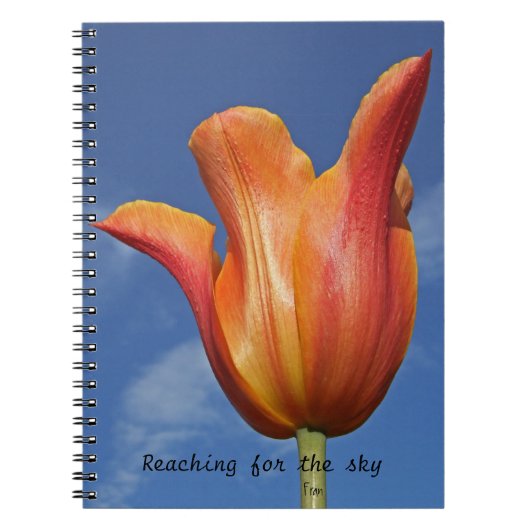 Carnet atteindre le ciel (Devant)