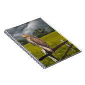 Carnet Attente de la tempête - Red tail Hawk (Côté Droit)