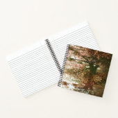 Carnet Au fond de la forêt... (Intérieur)
